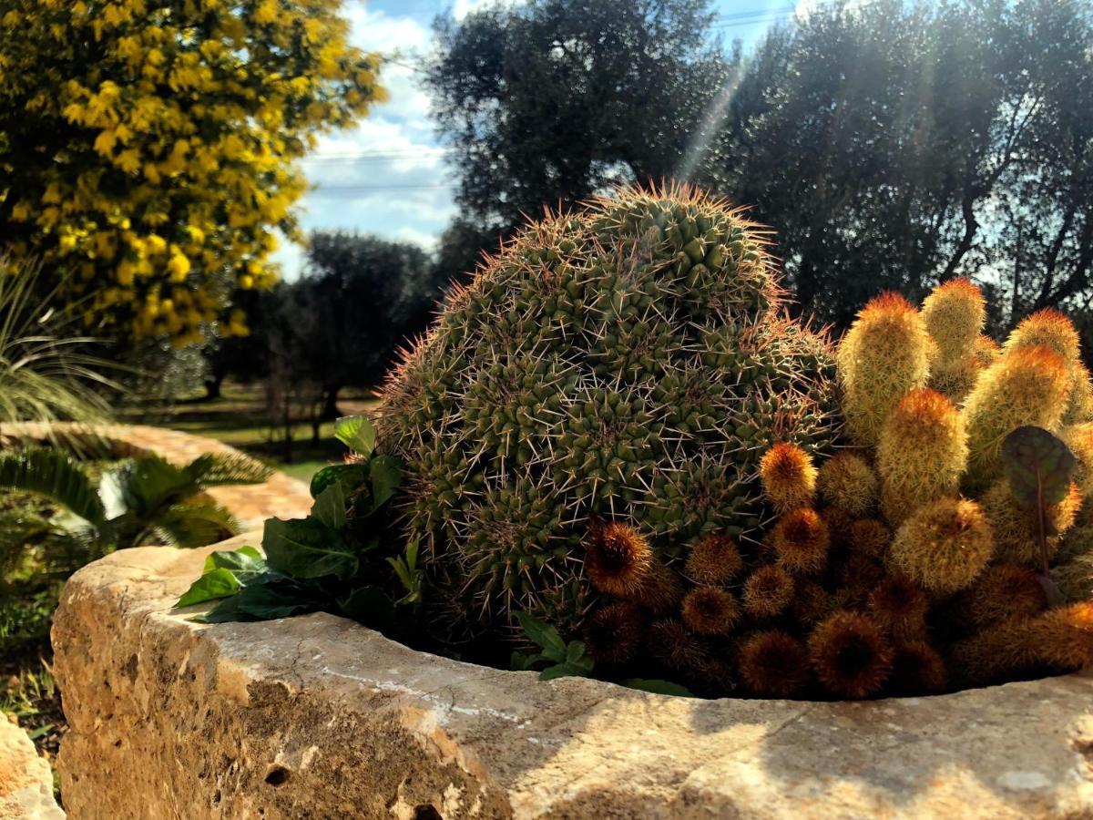 Dimore Storiche - Ulivo Di Aldo Martina Franca Exteriér fotografie