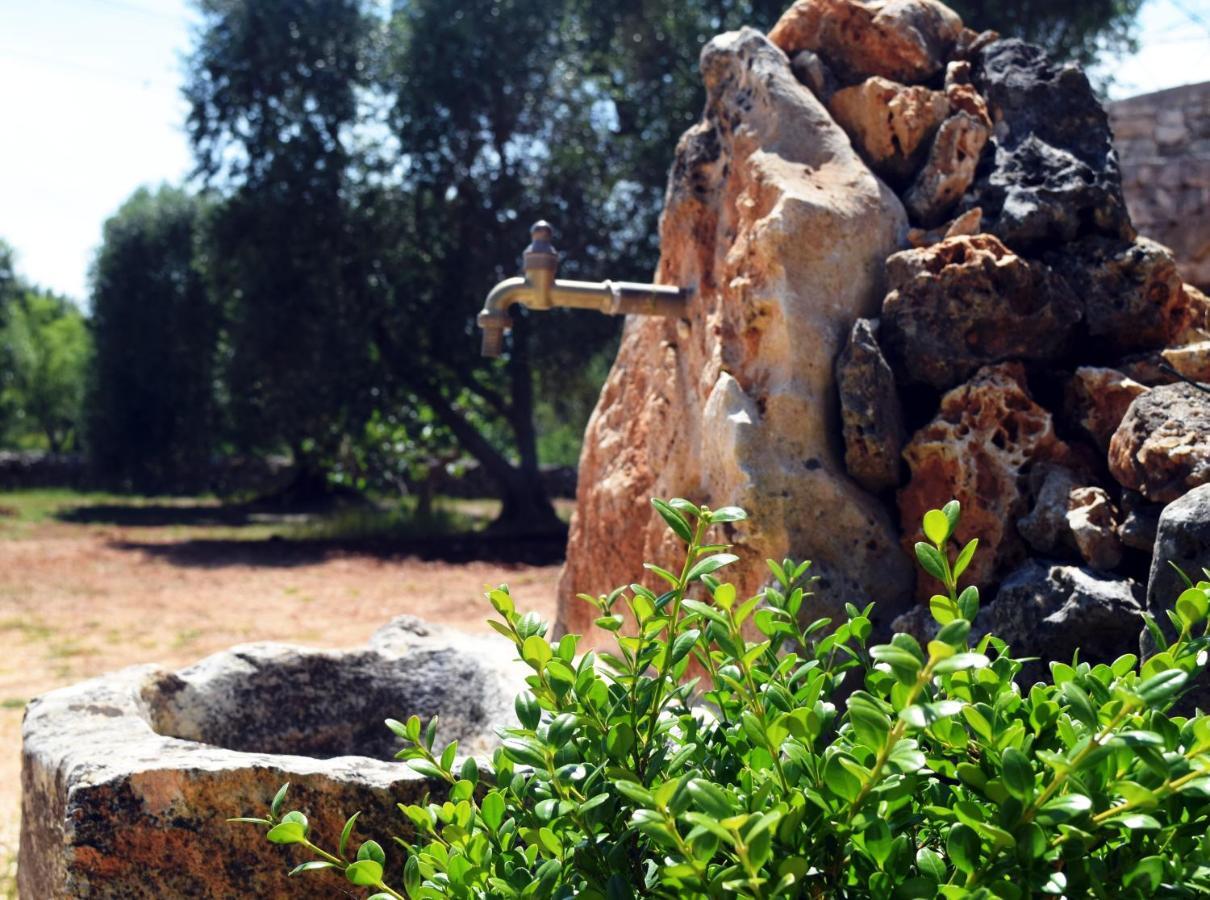 Dimore Storiche - Ulivo Di Aldo Martina Franca Exteriér fotografie